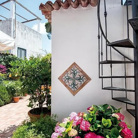 Bed and breakfast Il Vicolo 2*