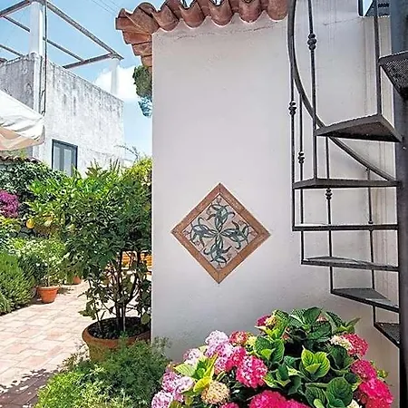 Il Vicolo Bed and Breakfast