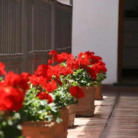 B&B Il Vicolo 아나카프리